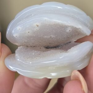 Druzy Agate Shell